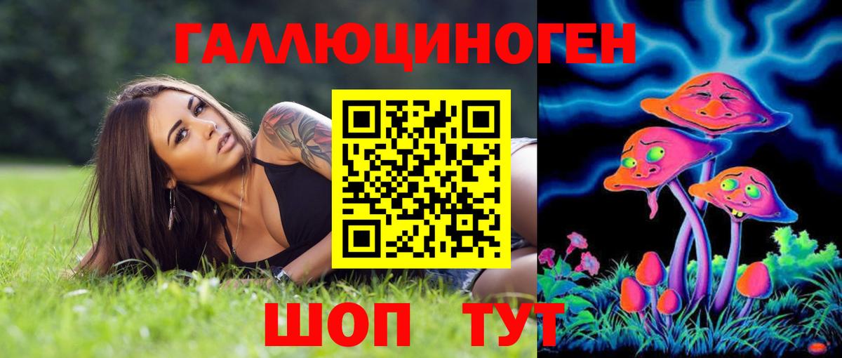 Псилоцибиновые грибы GOLDEN TEACHER  Вход с VPN  Гай 